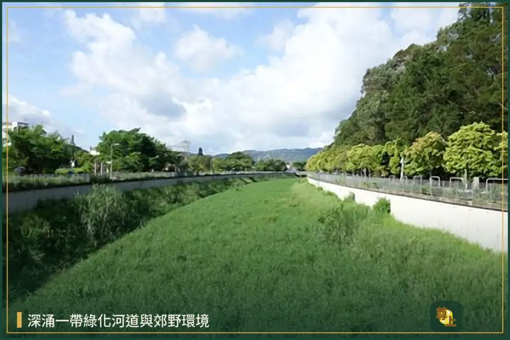 深涌村屋介紹|十八鄉大棠路,紅 van 直達、自住收租兩相宜 2 元朗深涌村綠化河道環境